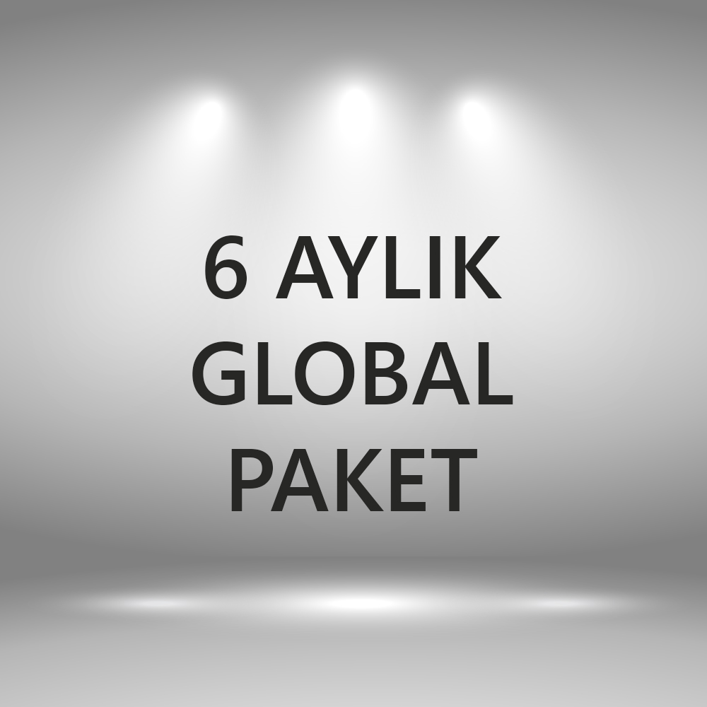 6 Aylık